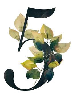 Nature Number 5