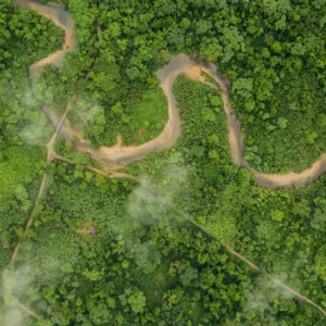 Small roads criss-crossing the Amazon rainforest.