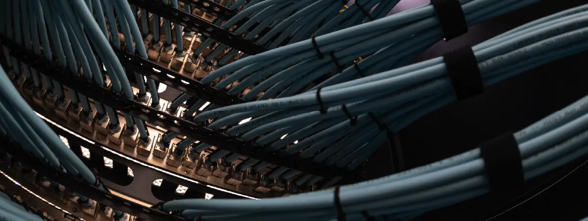 Network cables connected to server racks in data center room. Photo courtesy of iStock / P. Nikomkai