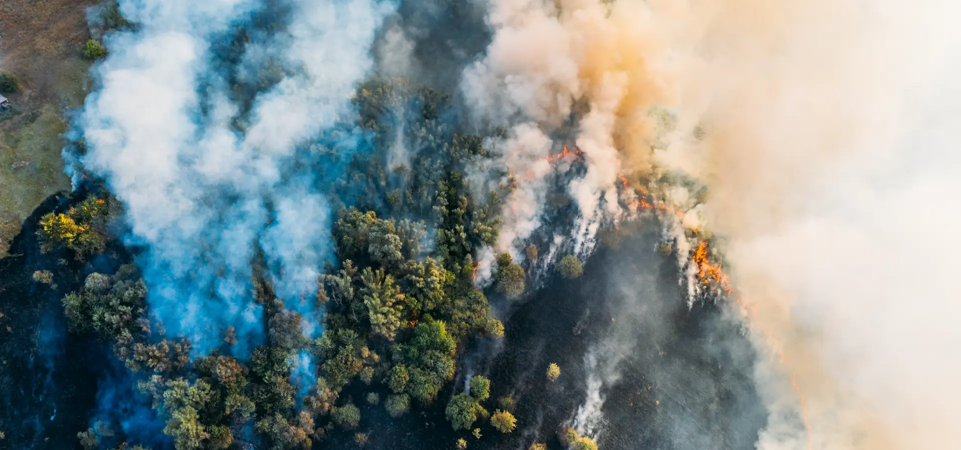 Caption. Photo by iStock / Ded Mityay