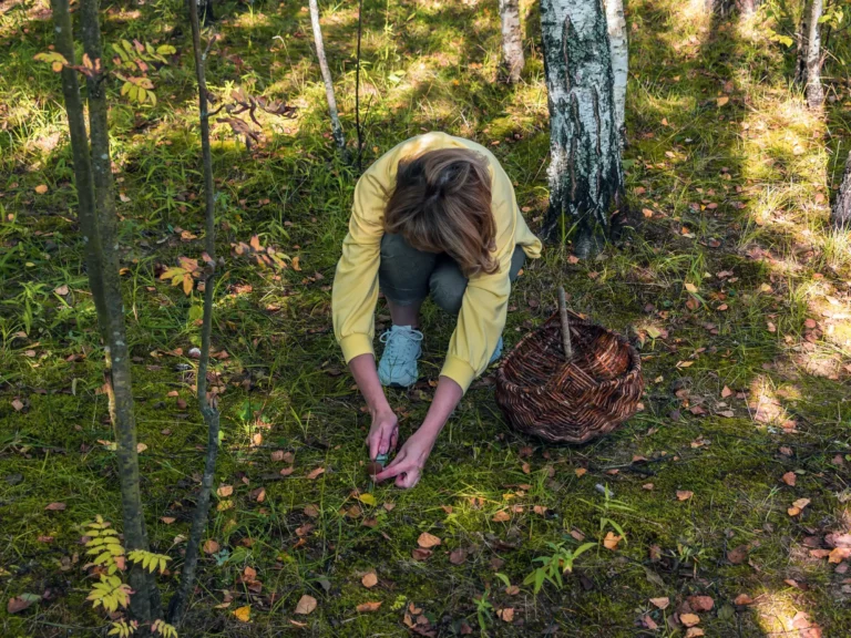 Person fall foraging