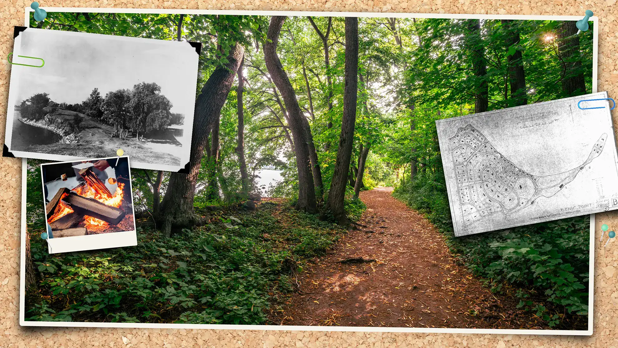 Lakeshore Nature Preserve photos