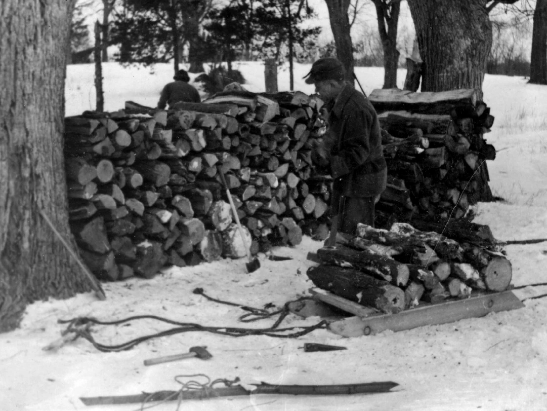 Leopold stacking and splitting wood