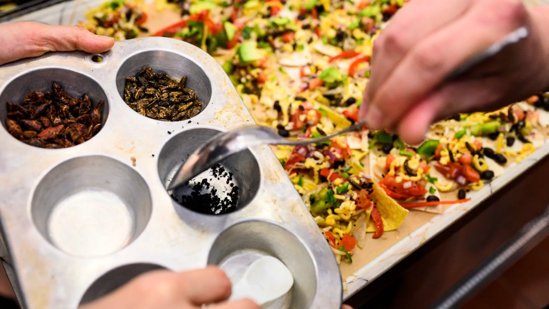 Participants sprinkle a mix of dried insect ingredients on a sheet of nachos being made during a Cooking with Insects workshop held in the kitchen of the Food Applications Lab in Babcock Hall. Photo by Jeff Miller