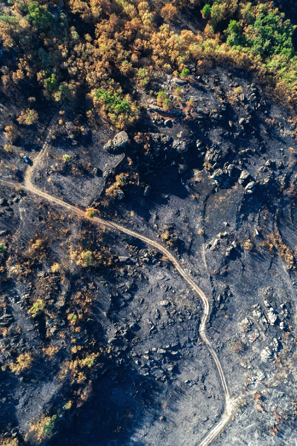 Aerial view of a scared landscape from a wildfire.