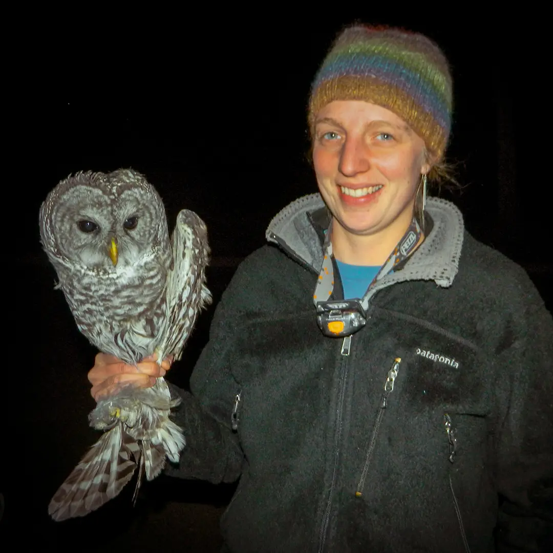 Pearce helped with owl banding while working at Wolf Ridge. Pearce holding a barred owl right before releasing it.