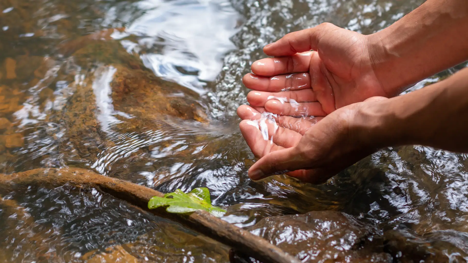 Hands cupping clear water from a flowing natural spring.