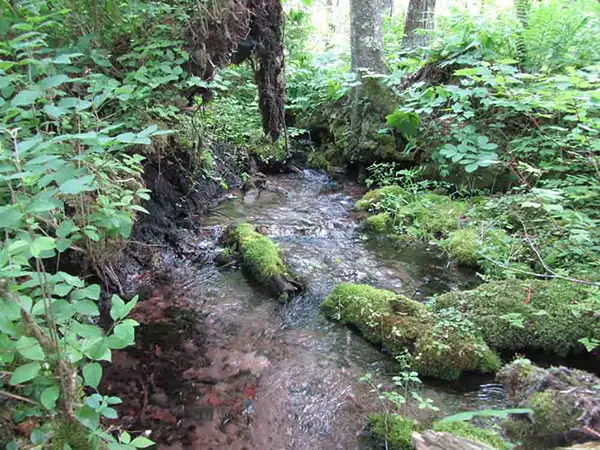springs-bayfield