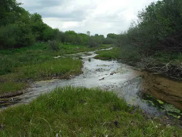springs-waukesha