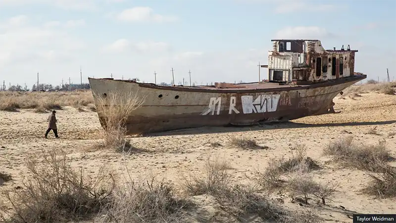 Rusting ship stranded on dry desert sand with sparse shrubs, highlighting the effects of water loss and desertification.