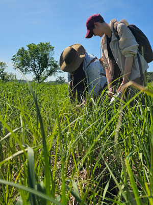 WRM students Alayne Kulp and Madilyn Marti examine sedge meadow vegetation in the wetland near Fancy Creek, following a modified Rapid Floristic Quality Assessment (RFQA) protocol. Photo by Norman Arif Muhammed