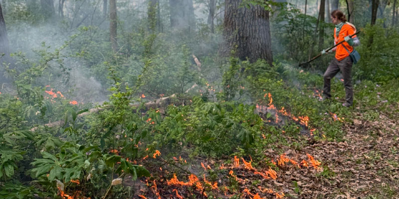 Swann taking part in a controlled burn. Photo courtesy of Aryn Swann