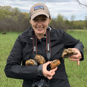 Williamson holds a group – or a bale – of ornate box turtles, a state endangered animal, during an NRF project site visit. Photo by Rori Paloski