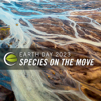Earth Day 2023 Species on the Move