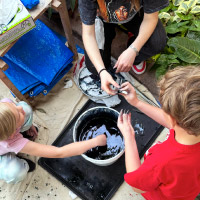 Earth Fest offers events for community members of all ages, like this plant-based dyes workshop held at the D.C. Smith Greenhouses during the 2024 event. Photo by Laila Smith, Nelson Institute for Environmental Studies