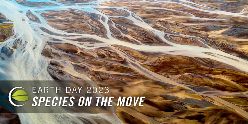Earth Day 2023 Species on the Move