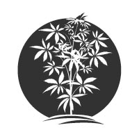 Cannabis
