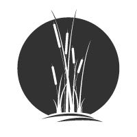 Cattails