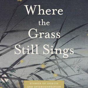 Heather Swan’s new book, Where the Grass Still Sings.