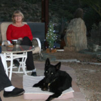 Dan and Sandi Heim in the front yard of their Arizona home with their dog Cassi.