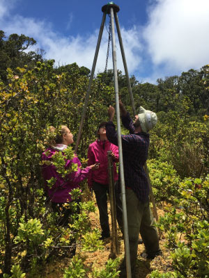 Hotchkiss Lab students collect a sediment in the forest. Photo: Sara Hotchkiss