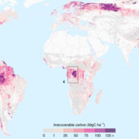 Fig. 1: Irrecoverable carbon in Earth’s ecosystems. Photo credit: Nature Sustainability