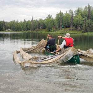Experimental enclosures are strategically placed around lakes to sample variation in habitat, including vegetation, prey, light, and temperature. Sometimes this involves serious canoeing expertise! Photos courtesy of Weber Lab