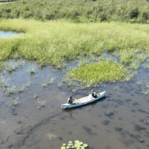 Conaway seeding rice on Poisippi tributary, Pawaheycaneh, west side. Photo courtesy of Jessie Conaway