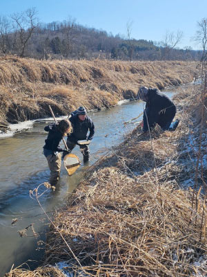 WRM students Thea Showalter and Jake Pinion assist practicum project lead Mike Miller in taking a kickboot sample for macroinvertebrates present in Fancy Creek. Photo by WRM student Norman Arif Muhammad