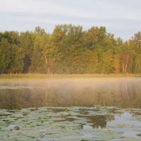 Lost Lake is an important part of the Marathon County ecosystem and serves as a popular spot for fishing and boating. Marathon County Conservation, Planning, and Zoning Department