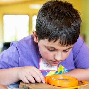 The Sky’s the Limit STEM camp participant Tyler uses a magnifying glass to count tree rings. Photo by Jeff Miller, University Communications
