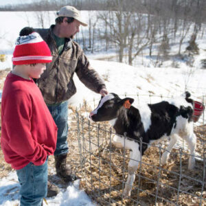 Mark Parker petting a calf in a cage while his son is standing next to him. Photo courtesy of Organic Valley