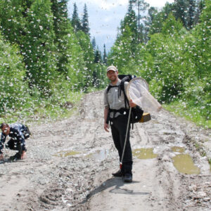 Schoville (center) helped create a mobile app called Yosemite Butterflies, an interactive field guide to the park’s unique butterfly fauna. Photos courtesy of Sean Schoville