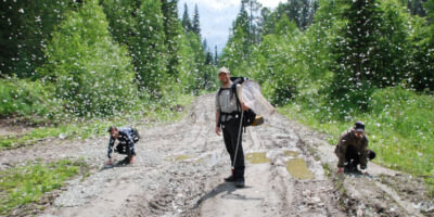 Schoville (center) helped create a mobile app called Yosemite Butterflies, an interactive field guide to the park’s unique butterfly fauna. Photos courtesy of Sean Schoville