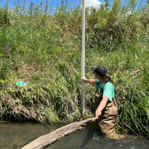 Van Alsburg, knee-deep in the Fancy Creek watershed, as she measures the embankment. Photo courtesy of Sophie Van Alsburg