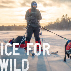 A Voice for the Wild