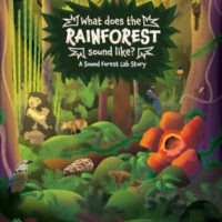 What does the rainforest sound like?
