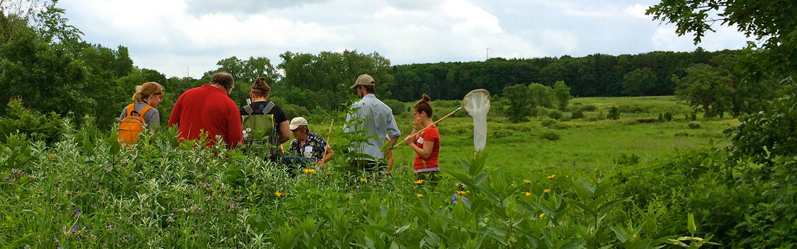 Environmental Conservation MS | Nelson Institute for Environmental Studies