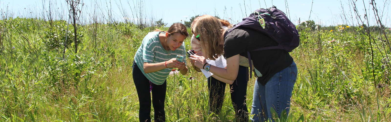 Three students in a grassy field huddling together to take a picture of a native plant