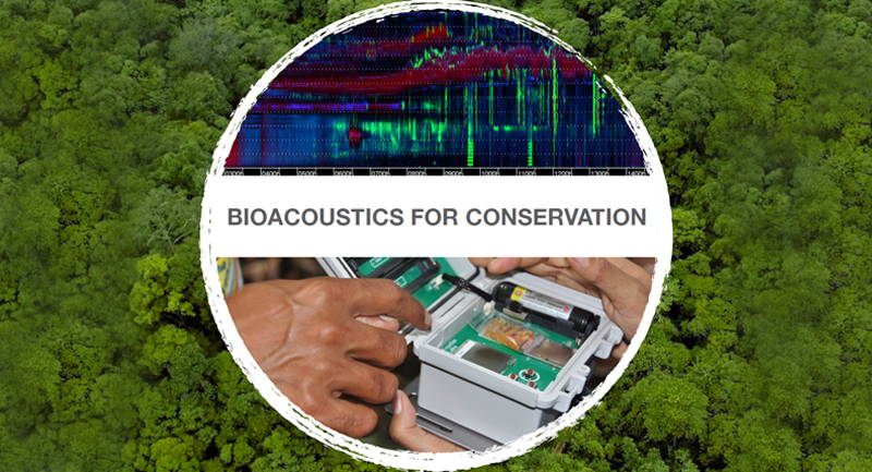 Featured Course: Bioacoustics for Conservation | Nelson Institute for ...