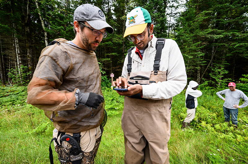 Two researchers in a wooded area analyzing data on a mobile phone
