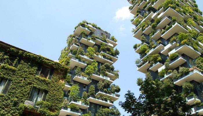 Wide-angle view of ivy-covered high-rise apartments against a blue sky