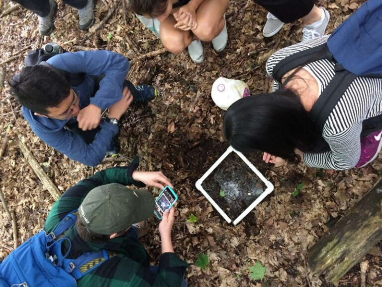 Overhead view of several students in a forest during fall closely examining a research sample