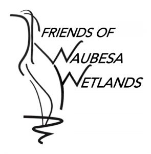 Friends of Waubesa Wetlands