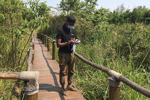A student conducting field research in a tropical forest