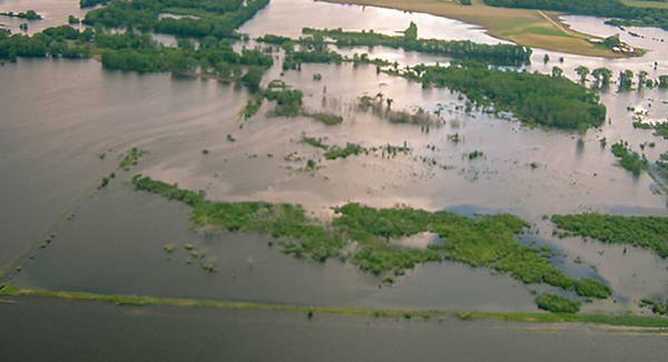 Aerial view of flooding, with only treetops visible