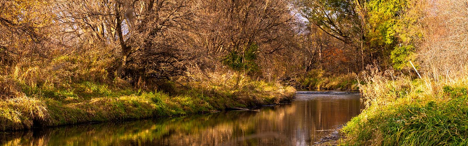 Koshkonong Creek on a calm fall day.
