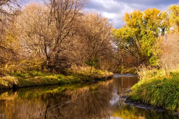 Koshkonong Creek on a calm fall day.