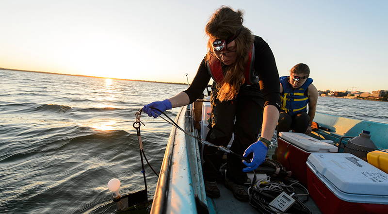 Students collect data and water samples from Lake Mendota during an early morning outing in 2016 for a limnology experiment.