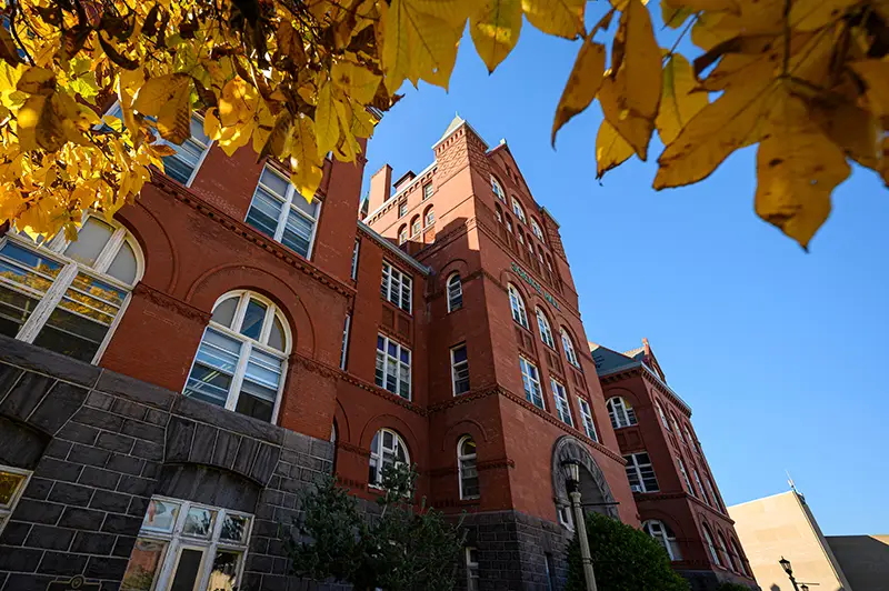 Exterior view of Science Hall, framed by yellow fall leaves in the foreground
